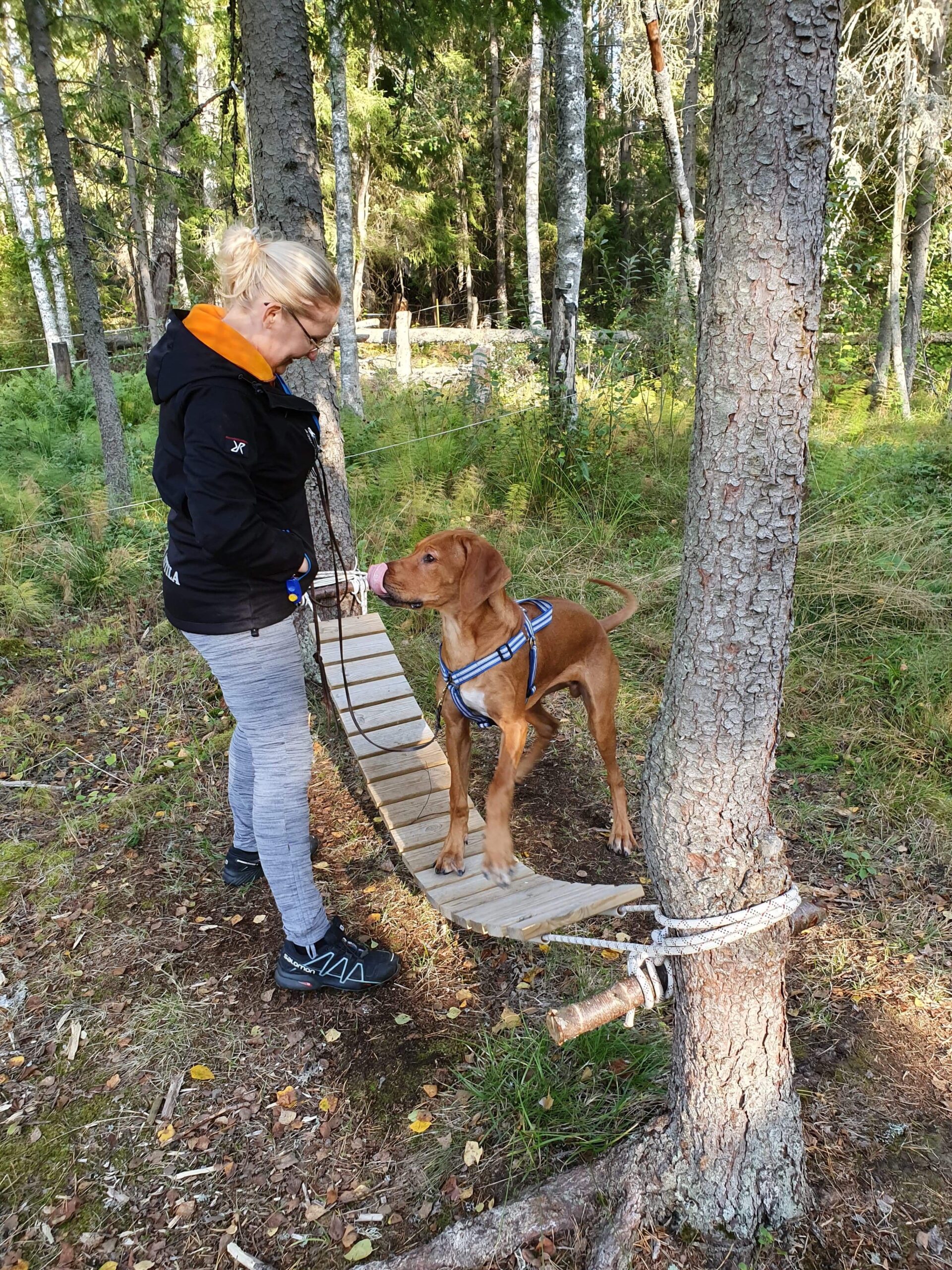 friskvård för framtiden