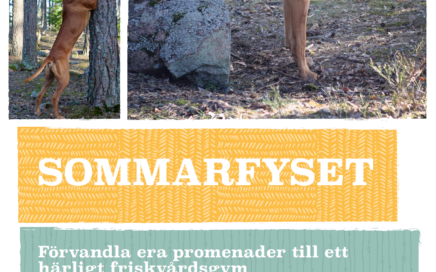 sommarfyset