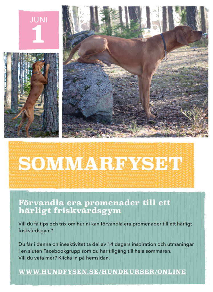 sommarfyset