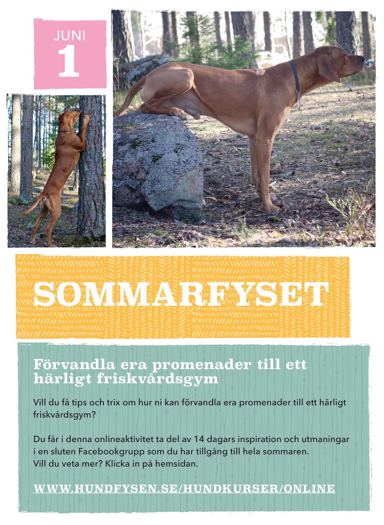 sommarfyset